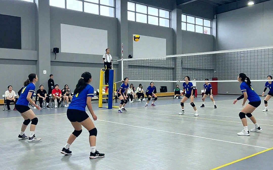 Khung phân tích đủ chín phần, dữ liệu bằng không: nguyên tắc hoãn kết luận trong bóng chuyền